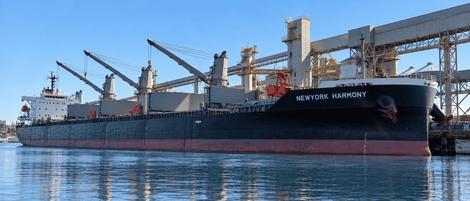 Bulk carrier "NEWYORK HARMONY" alongside a grain terminal